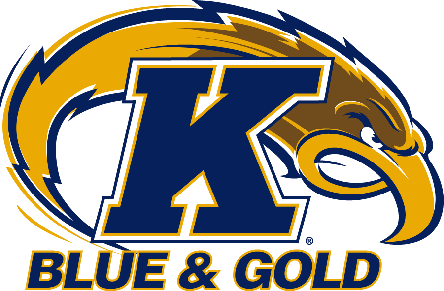Kent State Golden Flashes 2001-2017 Secondary Logo v2 iron on transfers for T-shirts